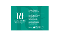 18_pascente